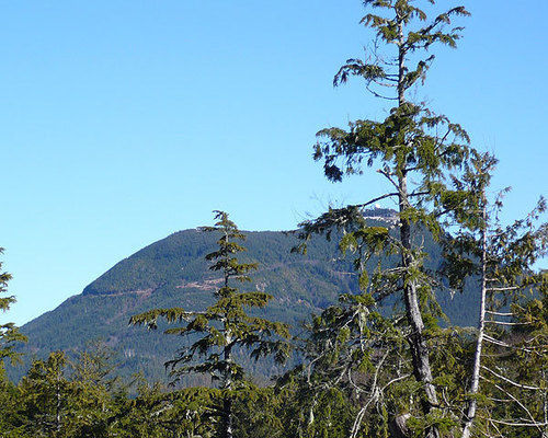 Cabins West Ucluelet Dış mekan fotoğraf